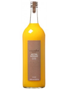 Nectar Mangue 100cl