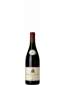 Bourgogne Pinot Noir "Vieilles Vignes" 2017 37.5cl