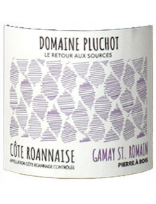 Domaine Pluchot - Pierre à Bois - Côte Roannaise 2020