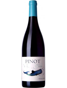 Pinot Chio - IGP Gard Rouge 2020