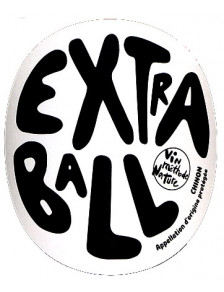 Domaine Grosbois Chinon " Extra-Ball " 2021