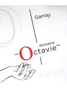 Touraine Gamay 2022