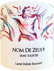 Nom de Zeus !!! IGP Val de Loire Bio (sans sulfite) 2022