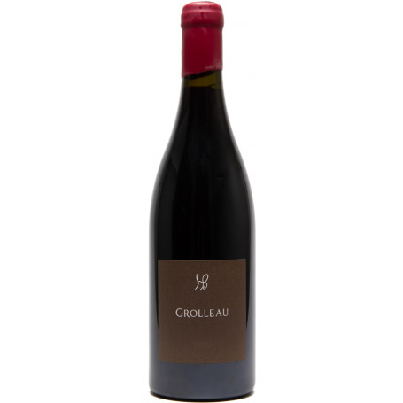 Domaine des Hauts-Baigneux Grolleau VDF Bio 2022