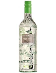 Uccellini Pinot Grigio delle Venezie DOC Organic 2024