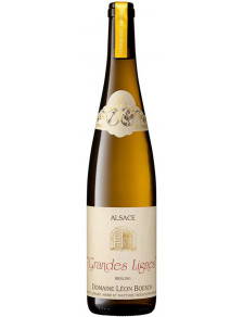 Riesling - "Les Grandes Lignes" Bio 2023