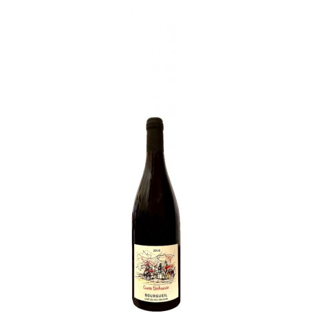 Bourgueil - Cuv&eacute;e "D&eacute;chain&eacute;e" Bio 2024 37.5cl
