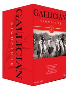 Gallician IGP GARD Rouge BIB 10L