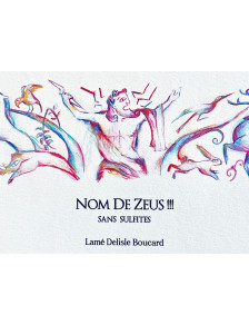 Nom de Zeus !!! IGP Val de Loire Bio (sans sulfite) 2024