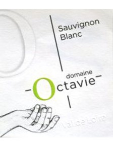 Touraine Sauvignon 2025
